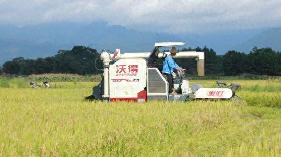 湖南江永13萬余畝早稻全程機械化高效搶收