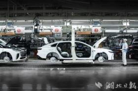 對話嵐圖汽車首席執(zhí)行官盧放:讓中國民族汽車品牌向上 第4張 對話嵐圖汽車首席執(zhí)行官盧放:讓中國民族汽車品牌向上 第4張