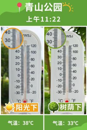 普降5-6℃！青山“大自然空調(diào)”免費(fèi)又涼快