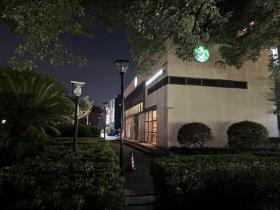 市中心綠化街角多盞路燈不點(diǎn)亮 市民無奈“摸黑”走夜路 第2張 市中心綠化街角多盞路燈不點(diǎn)亮 市民無奈“摸黑”走夜路 第2張
