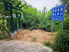 石景山區(qū)修補(bǔ)京門鐵路綠地 提升城市“顏值” 第1張 石景山區(qū)修補(bǔ)京門鐵路綠地 提升城市“顏值” 第1張