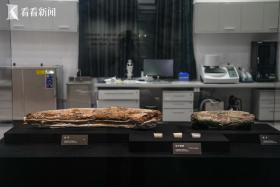 三星堆：多學(xué)科合作保護(hù) 室溫下展出象牙文物