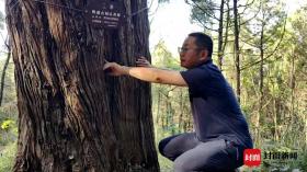 生態(tài)學(xué)博士馬文寶:我給翠云廊古柏當(dāng)“醫(yī)生” 第1張 生態(tài)學(xué)博士馬文寶:我給翠云廊古柏當(dāng)“醫(yī)生” 第1張