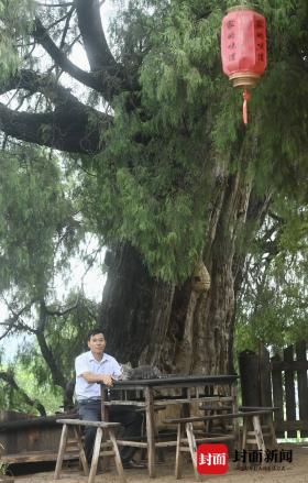生態(tài)學(xué)博士馬文寶:我給翠云廊古柏當(dāng)“醫(yī)生” 第3張 生態(tài)學(xué)博士馬文寶:我給翠云廊古柏當(dāng)“醫(yī)生” 第3張