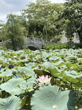 阿勒泰、洛陽(yáng)、杭州……“一部劇帶火一座城”的下一站是惠州？